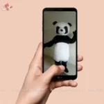Panda Messenger