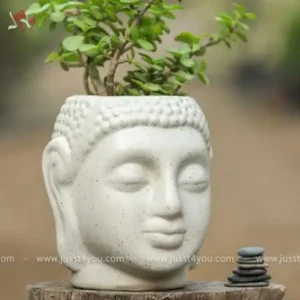 gift-them-a-plant