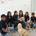 Pet at Home