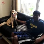 Pet at Home