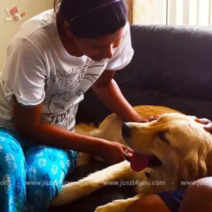 Pet at Home