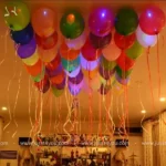 Party Begins