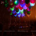 Party Begins