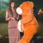 Big Teddy Bear