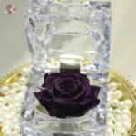 mini-rose-in-acrylic-box