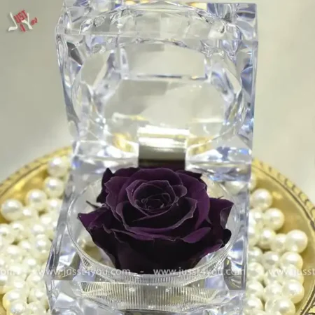 mini-rose-in-acrylic-box
