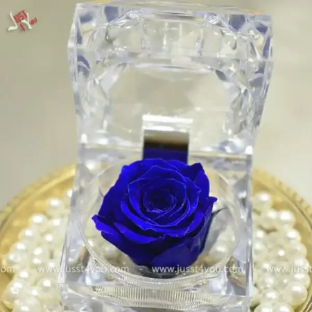 mini-rose-in-acrylic-box
