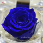 mini-rose-in-acrylic-box