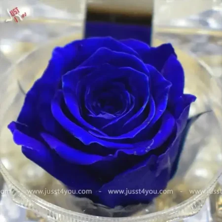 mini-rose-in-acrylic-box