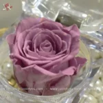 mini-rose-in-acrylic-box
