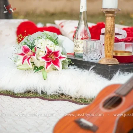 Picnic in the Greens