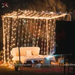 Movie Screening under the Stars