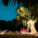 Date under the Tree