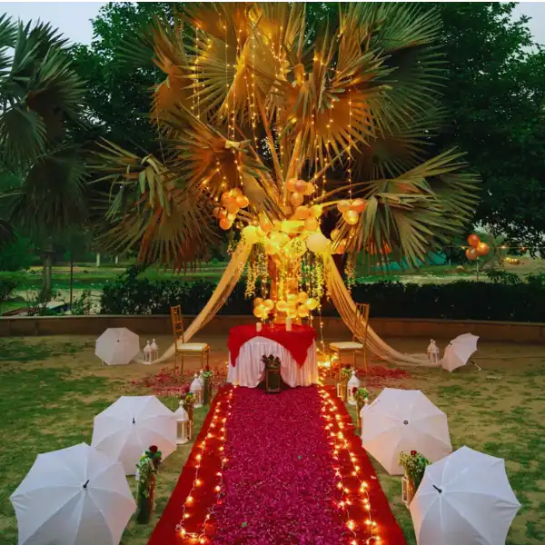 Budget Friendly Luxury Dining in Delhi NCR
