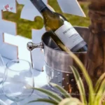 picnic-proposal-in-manali