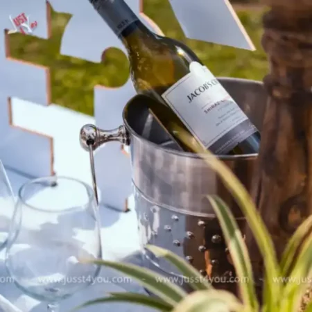 picnic-proposal-in-manali