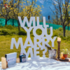 Picnic Proposal in Manali