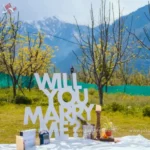 picnic-proposal-at-home