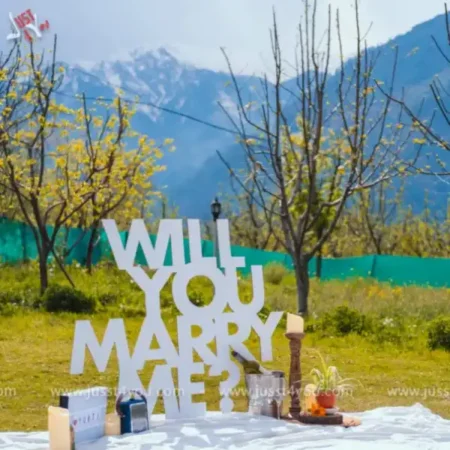 picnic-proposal-at-home