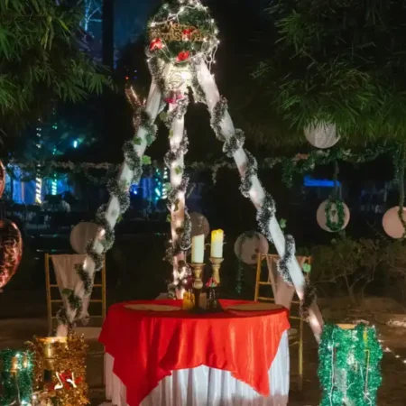 christmas-special-twilight-dinner