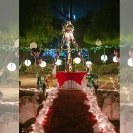 christmas-special-twilight-dinner