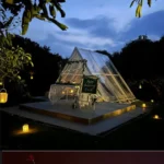 Golden Hour Glasshouse Experience