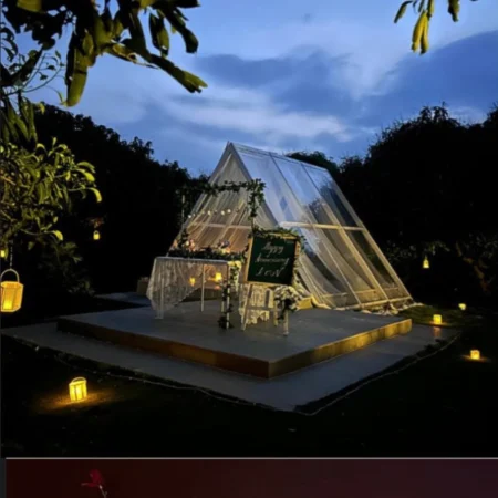 Golden Hour Glasshouse Experience