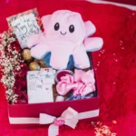 Cuddle and Love Hamper