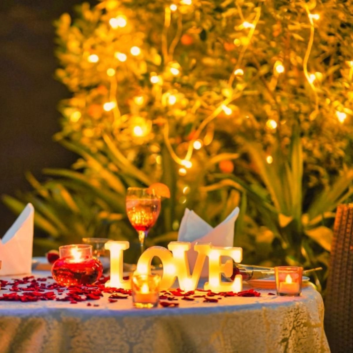 Five Star Dining in Noida