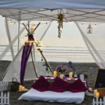 Premium Picnic Date