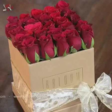 Valentine's Day Gift