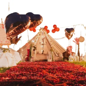 Canopy Decorations