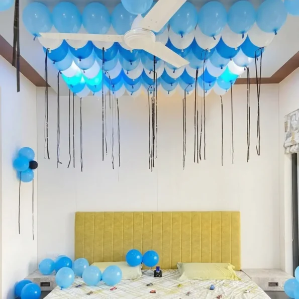 Blue And White Room Decorations